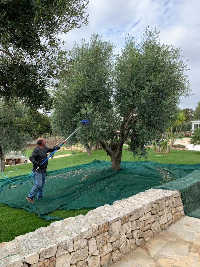 Villa Moresca Dei Trulli Fernando Ostuni Exterior photo